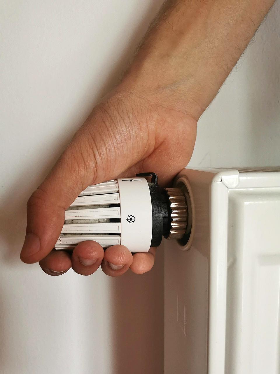 EcoSmart Thermostat